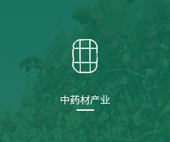 240_200px;