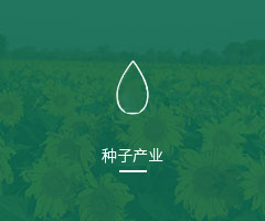 240_200px;aI(y)wϵ퓌D-G