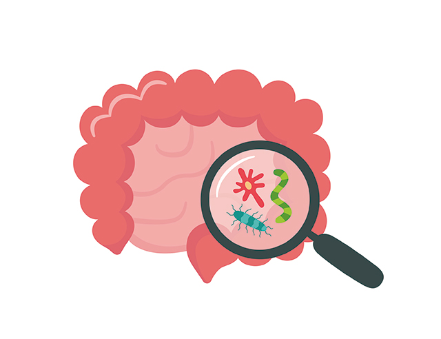腸道健康 放大鏡 腸 細菌-康興醫(yī)療器械官網(wǎng)